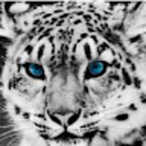 Meet your Posher, Charles